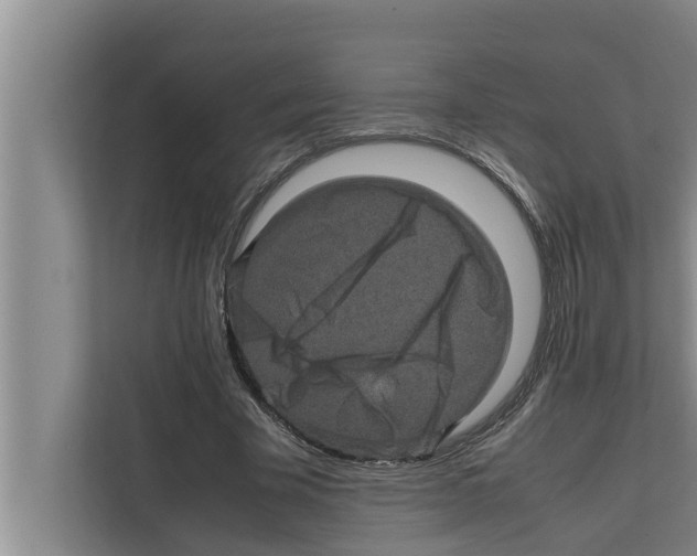 X0000111600585200908271010