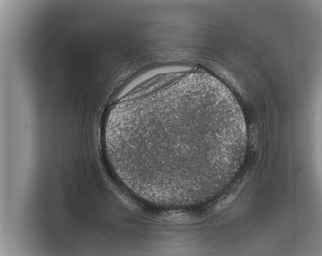 X0000111600589200908271010