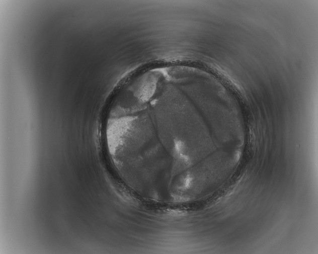 X0000111600592200908271010