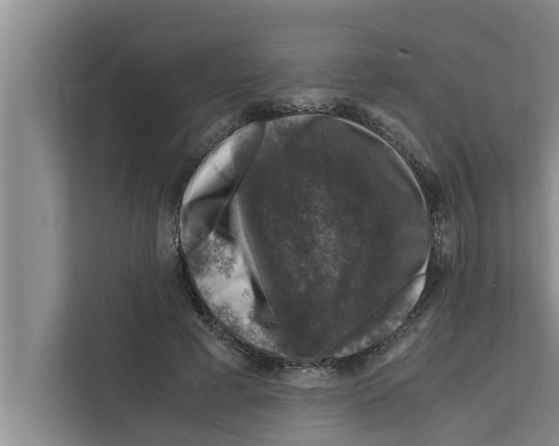 X0000111600593200908271010