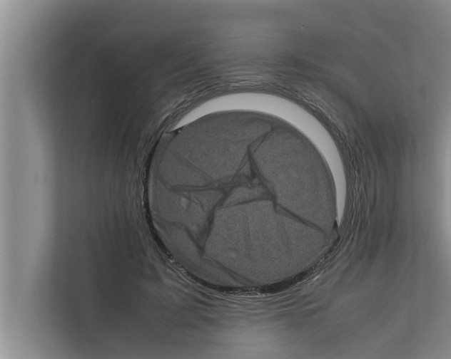 X0000111600595200908271010