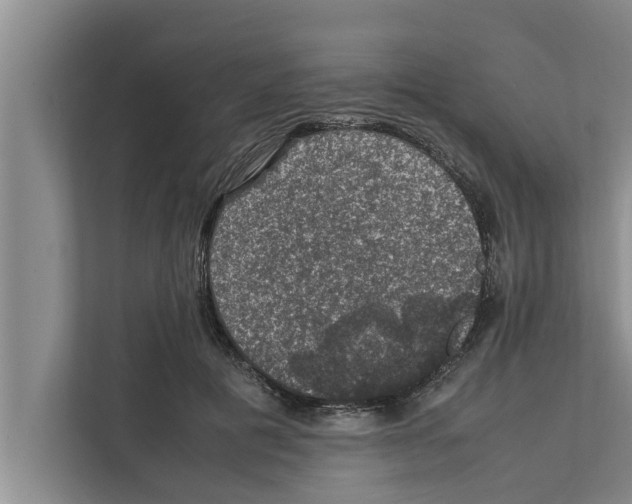 X0000111600601200908271010