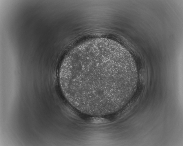 X0000111600605200908271010