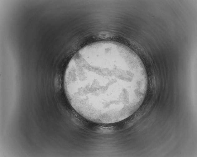 X0000111600606200908271010