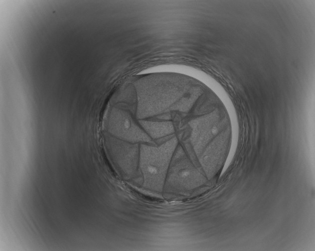 X0000111600609200908271010