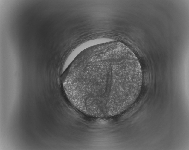 X0000111600613200908271010