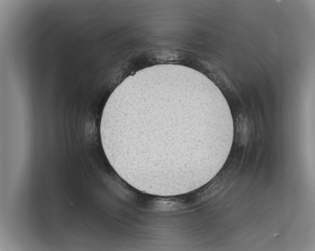 X0000111600614200908271010