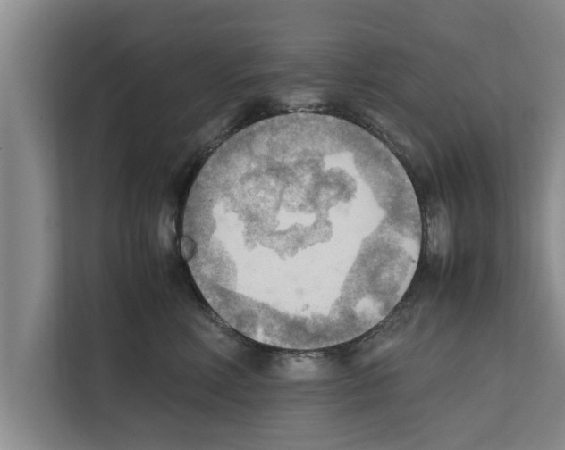 X0000111600618200908271010