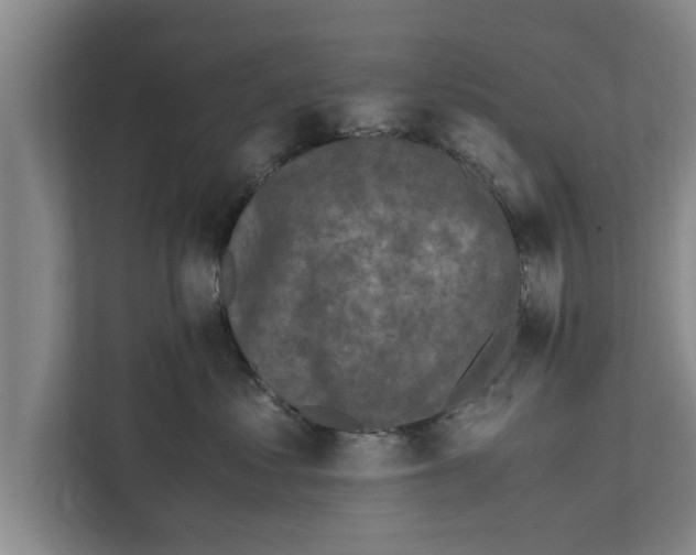 X0000111600621200908271010