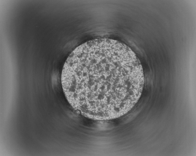 X0000111600623200908271010