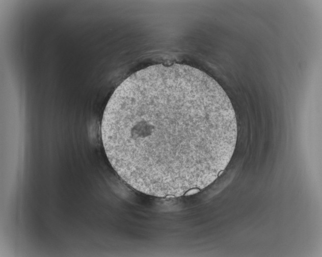X0000111600624200908271010