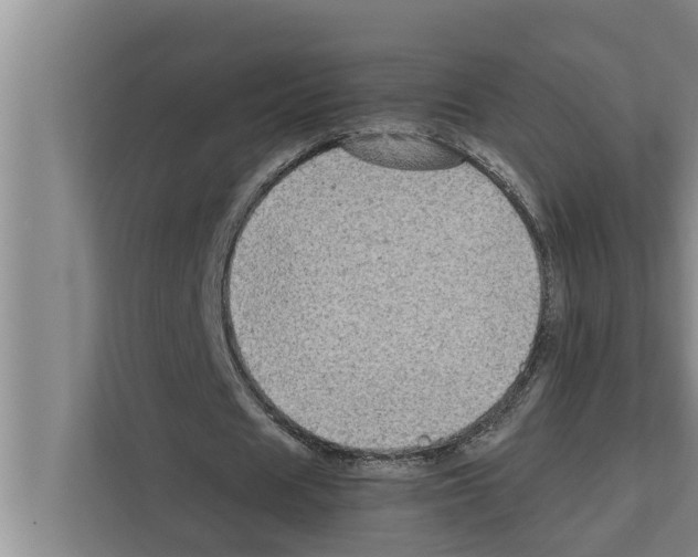 X0000111600625200908271009