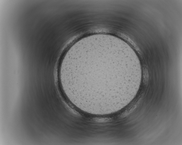 X0000111600629200908271009