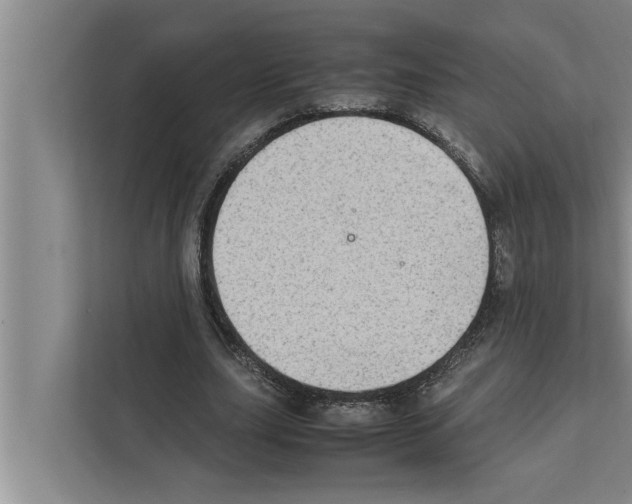 X0000111600631200908271009