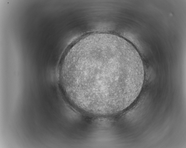 X0000111600632200908271009