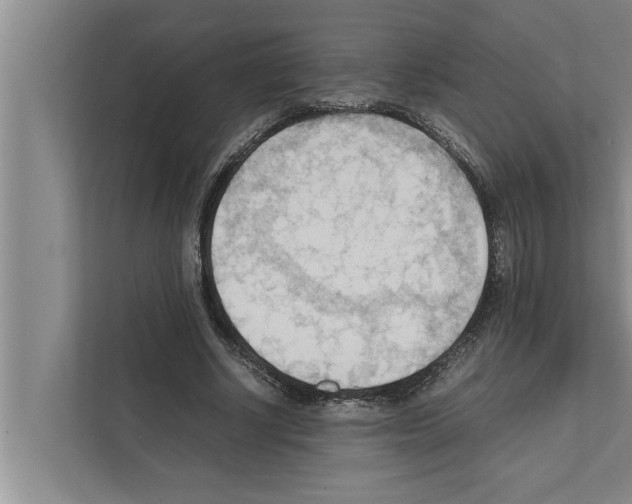 X0000111600634200908271009