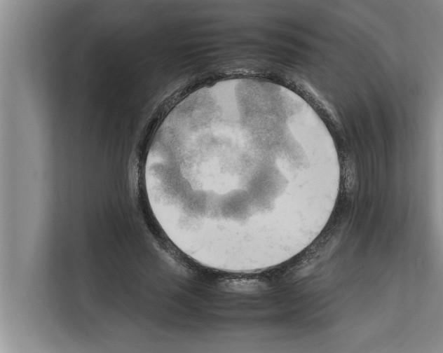 X0000111600637200908271009
