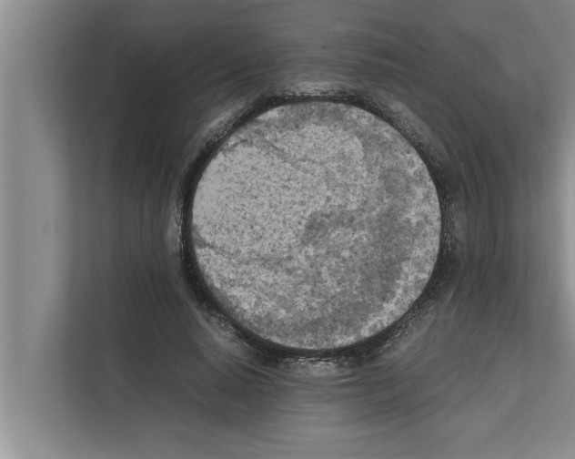 X0000111600640200908271009
