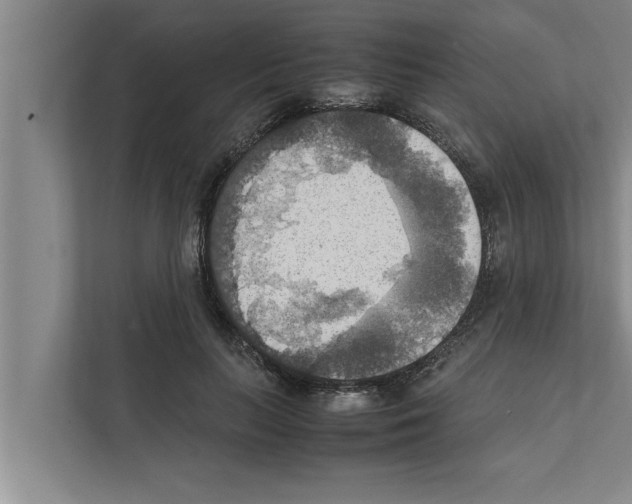 X0000111600647200908271009