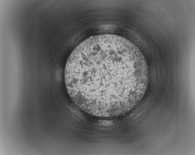 X0000111600649200908271010