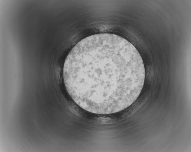 X0000111600650200908271010