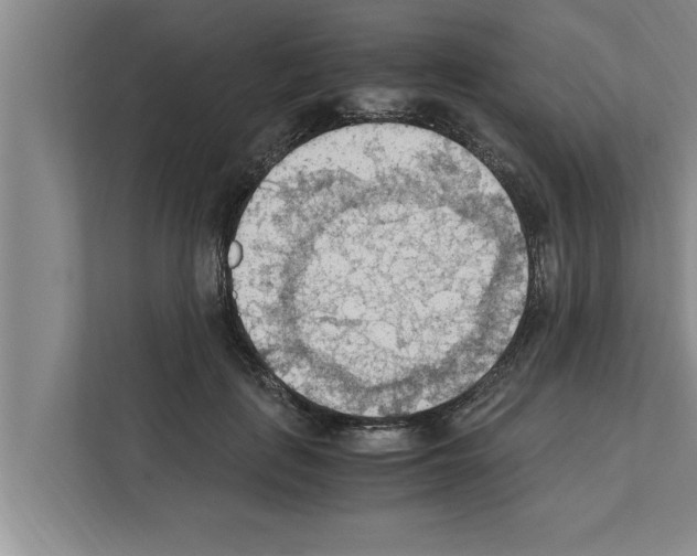 X0000111600651200908271010