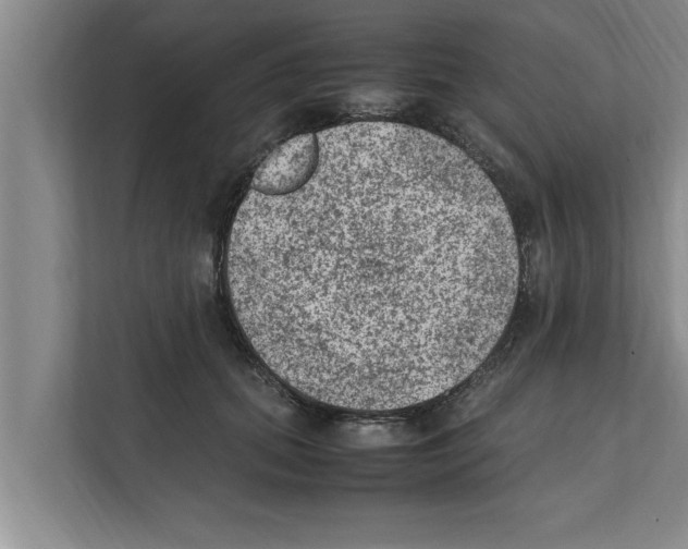 X0000111600655200908271010