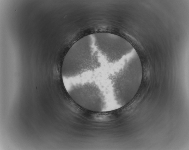 X0000111600661200908271010