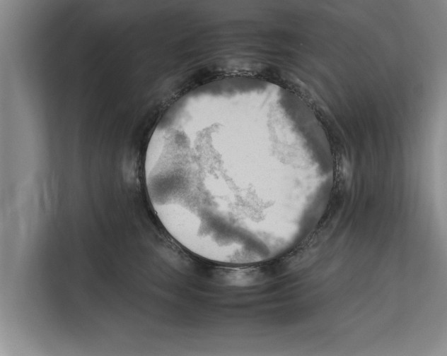 X0000111600663200908271010