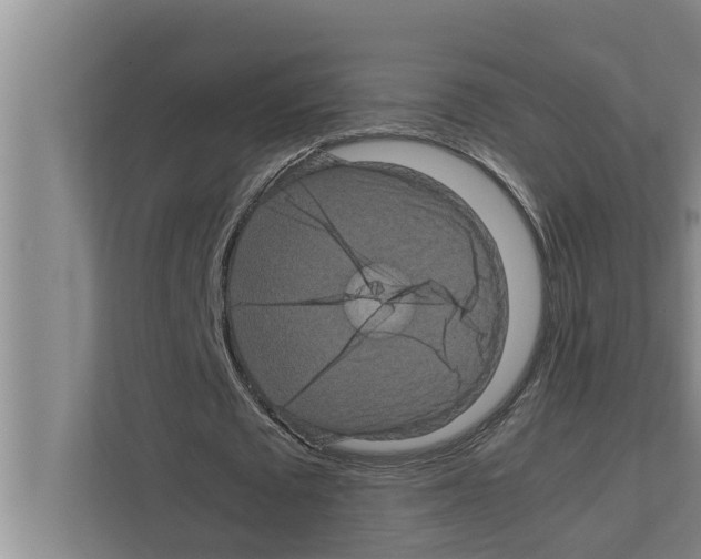 X0000111600673200908271009