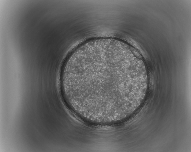 X0000111600677200908271009