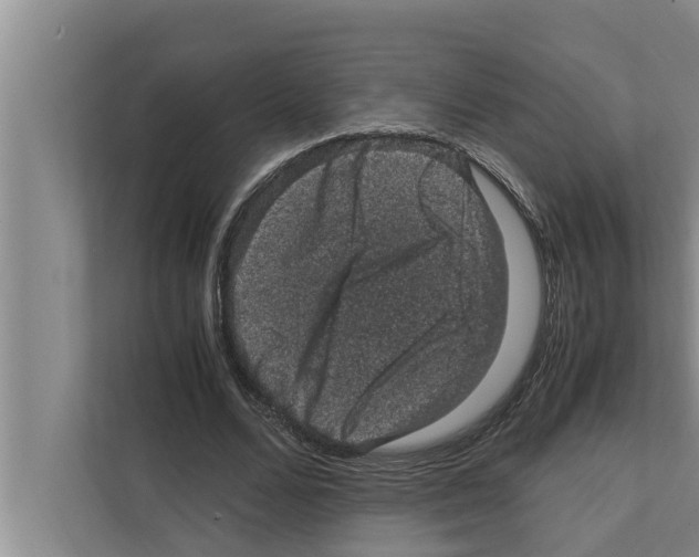 X0000111600680200908271009