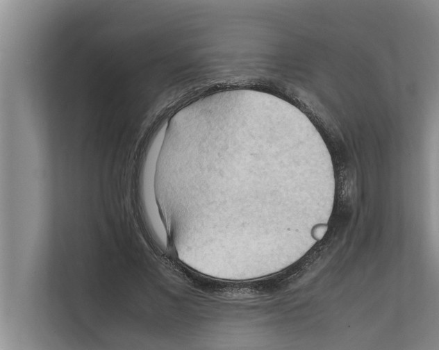 X0000111600685200908271009