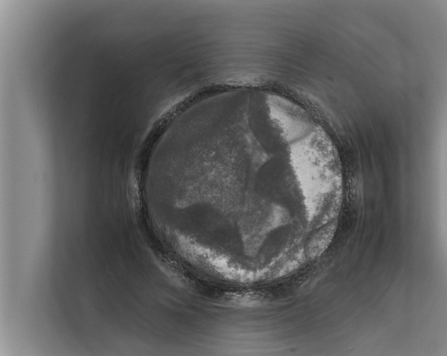 X0000111600688200908271009