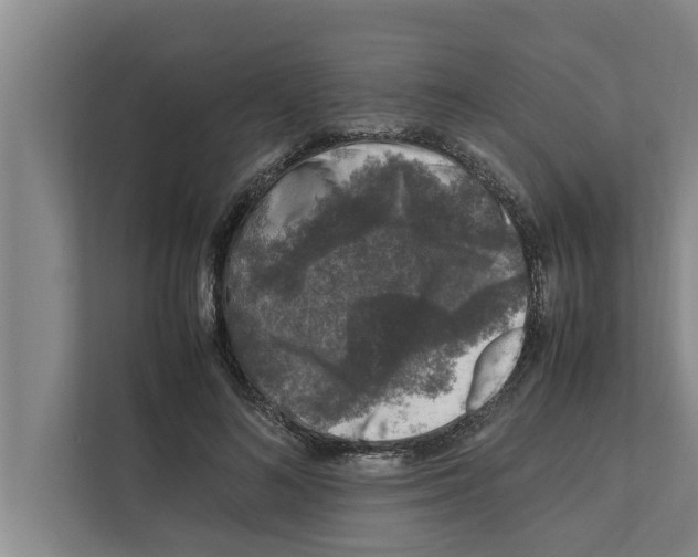 X0000111600692200908271009