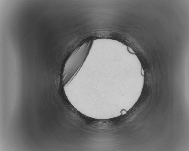 X0000111600697200908271009