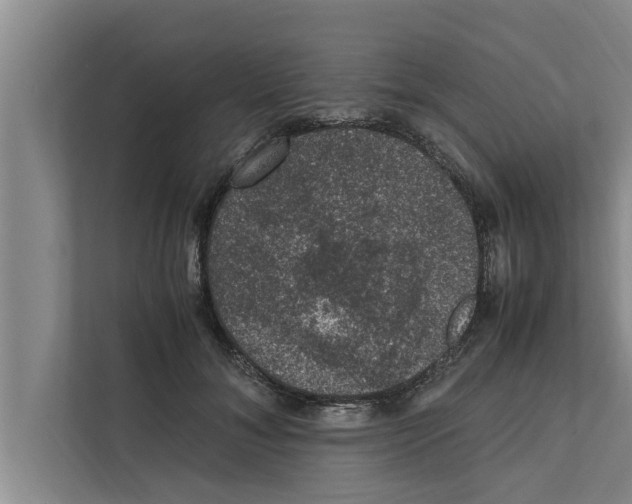 X0000111600700200908271009