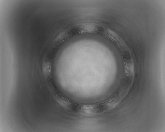 X0000111600701200908271009
