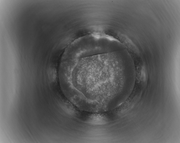X0000111600704200908271009
