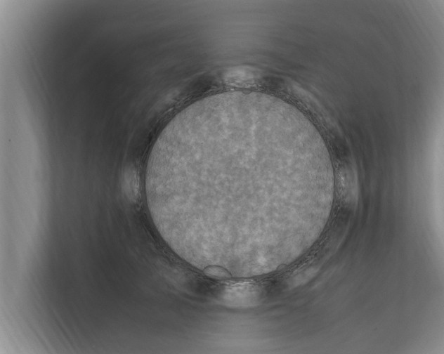 X0000111600705200908271009