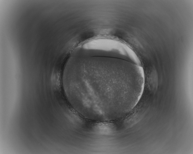 X0000111600708200908271009