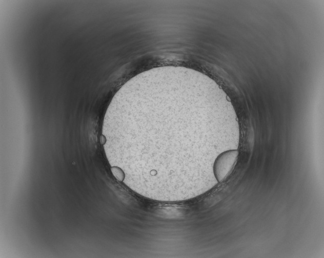 X0000111600710200908271009