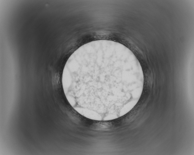 X0000111600711200908271009