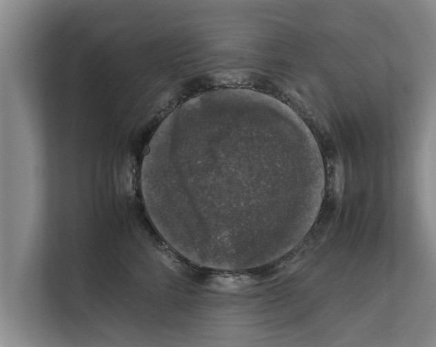 X0000111600712200908271009