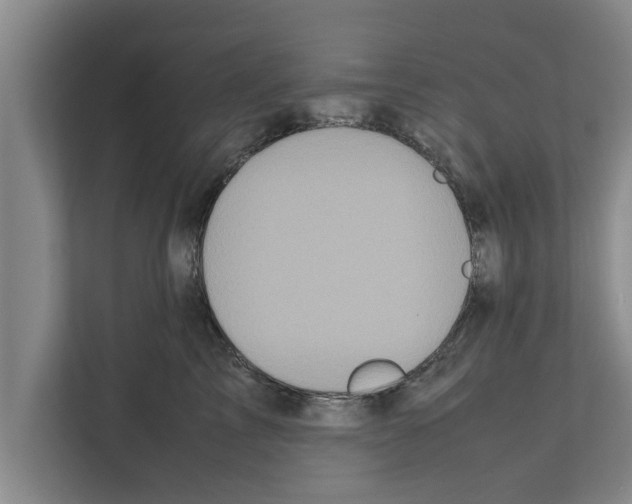 X0000111600713200908271009