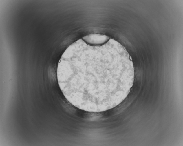 X0000111600719200908271009