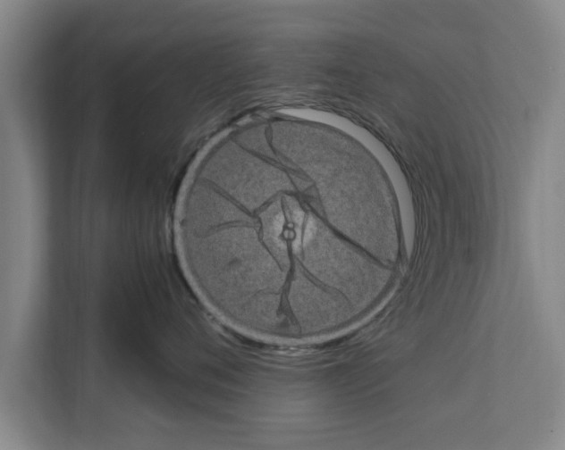 X0000111600720200908271009