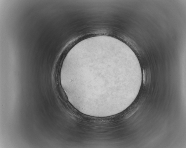 X0000111600723200908271008