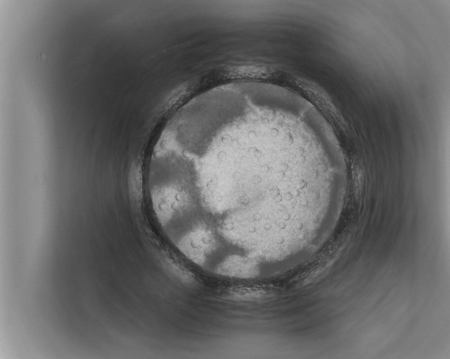 X0000111600729200908271008