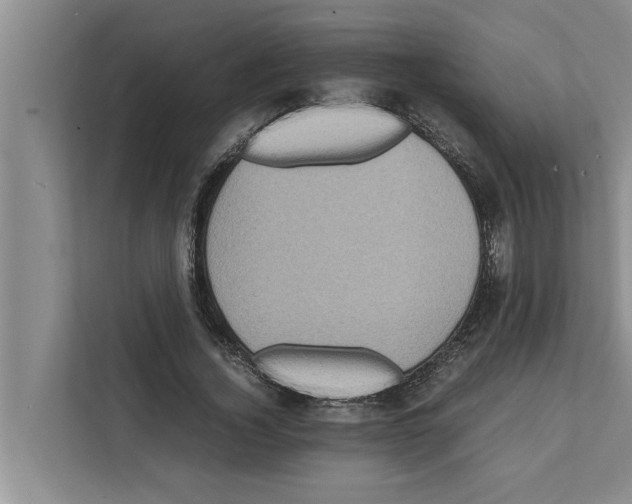 X0000111600732200908271008
